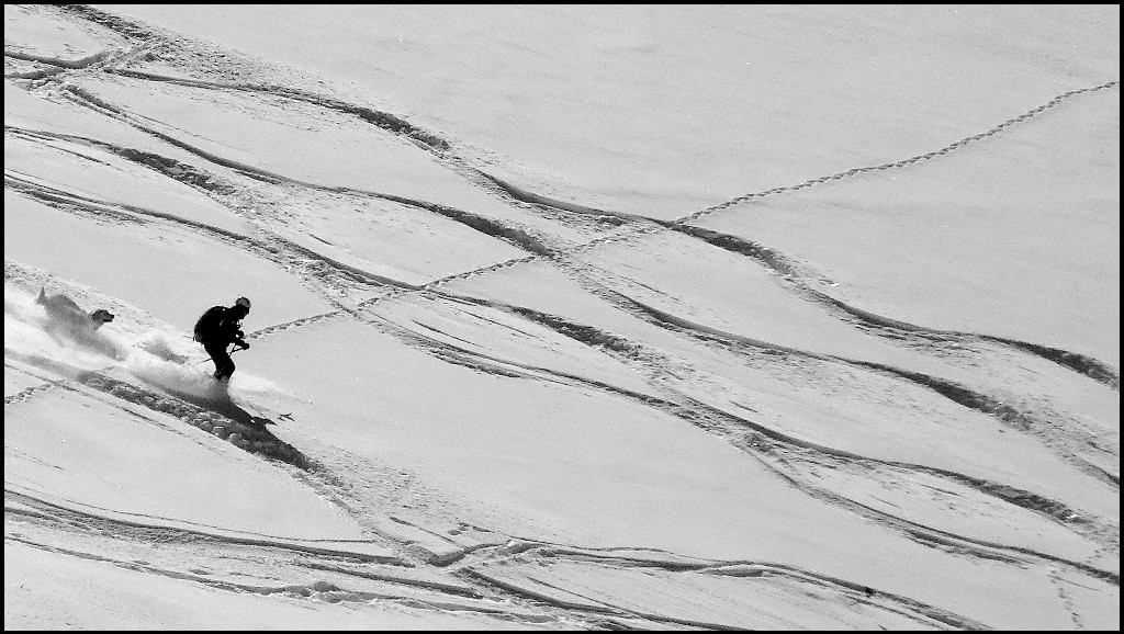 #4 Chacun sa trace Chacun sa trace