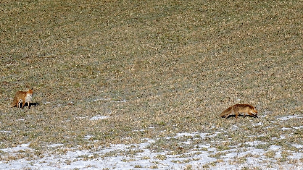 #1 Croisés sur la route Croisés sur la route