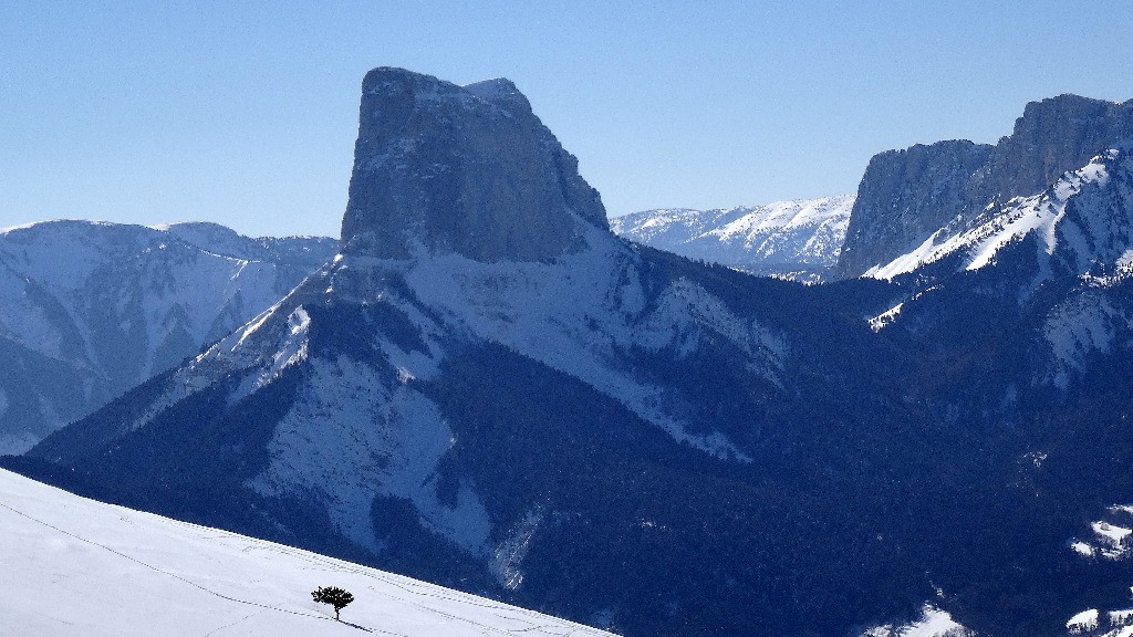 #3 Omni Présent Omni Présent