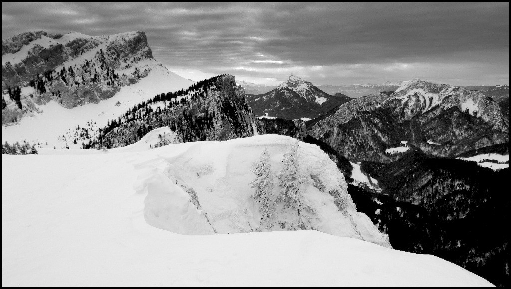 #4 Chartreuse bien bachée Chartreuse bien bachée