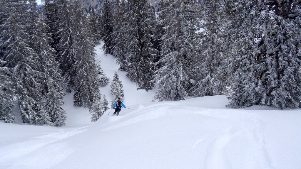 #1 De la poudre divine De la poudre divine