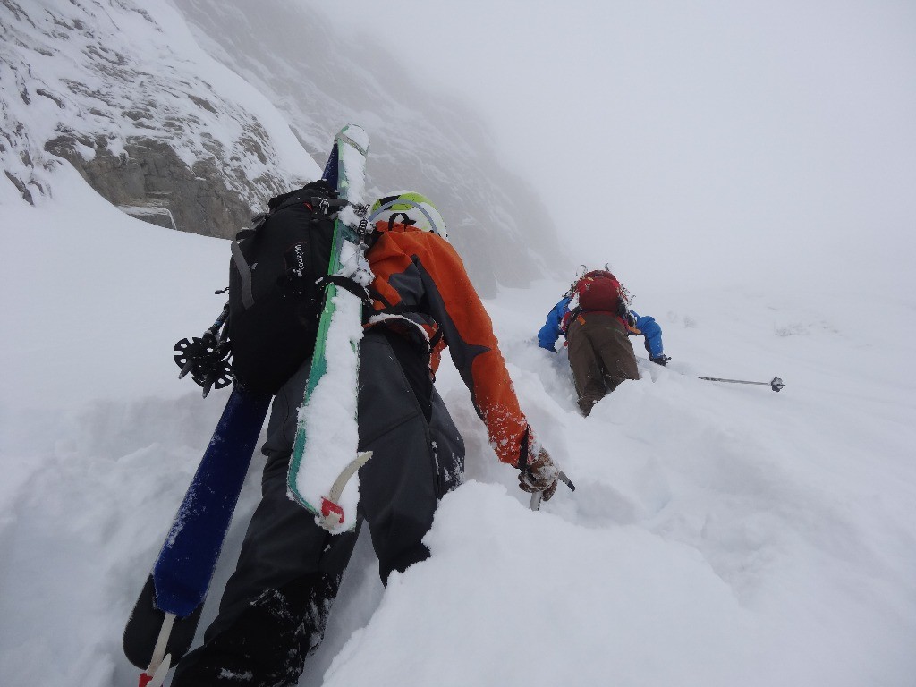 #4 Vous avez dit brasse coulée ? Vous avez dit brasse coulée ?