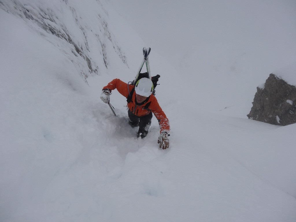#3 Même dans la trace, pas bien évident ! Même dans la trace, pas bien évident !