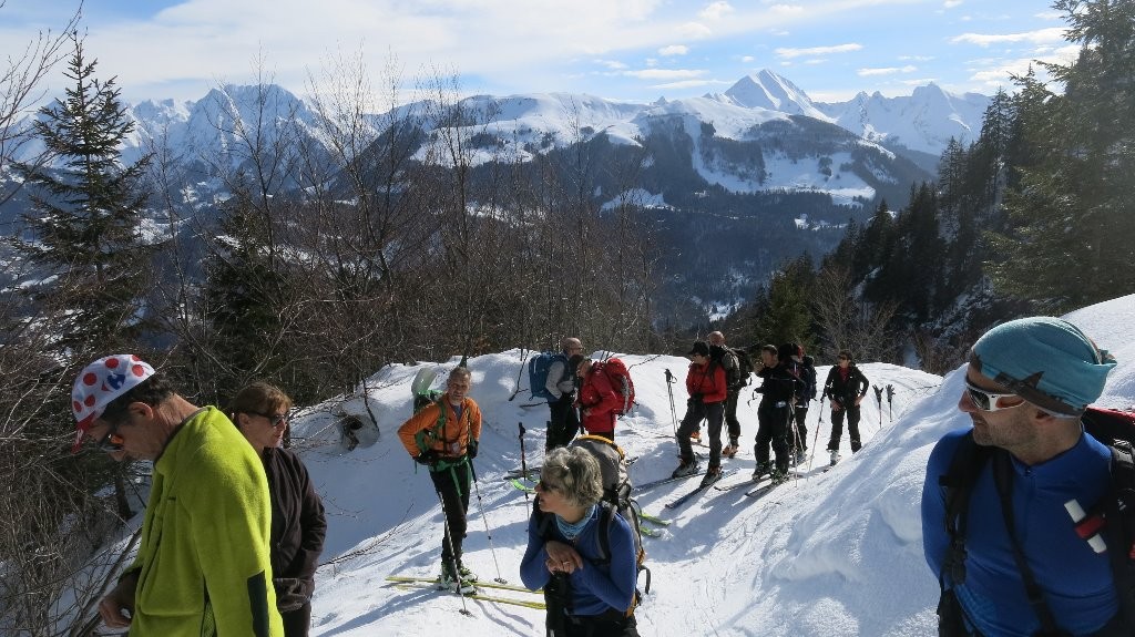 Le groupe, à la sortie du bois