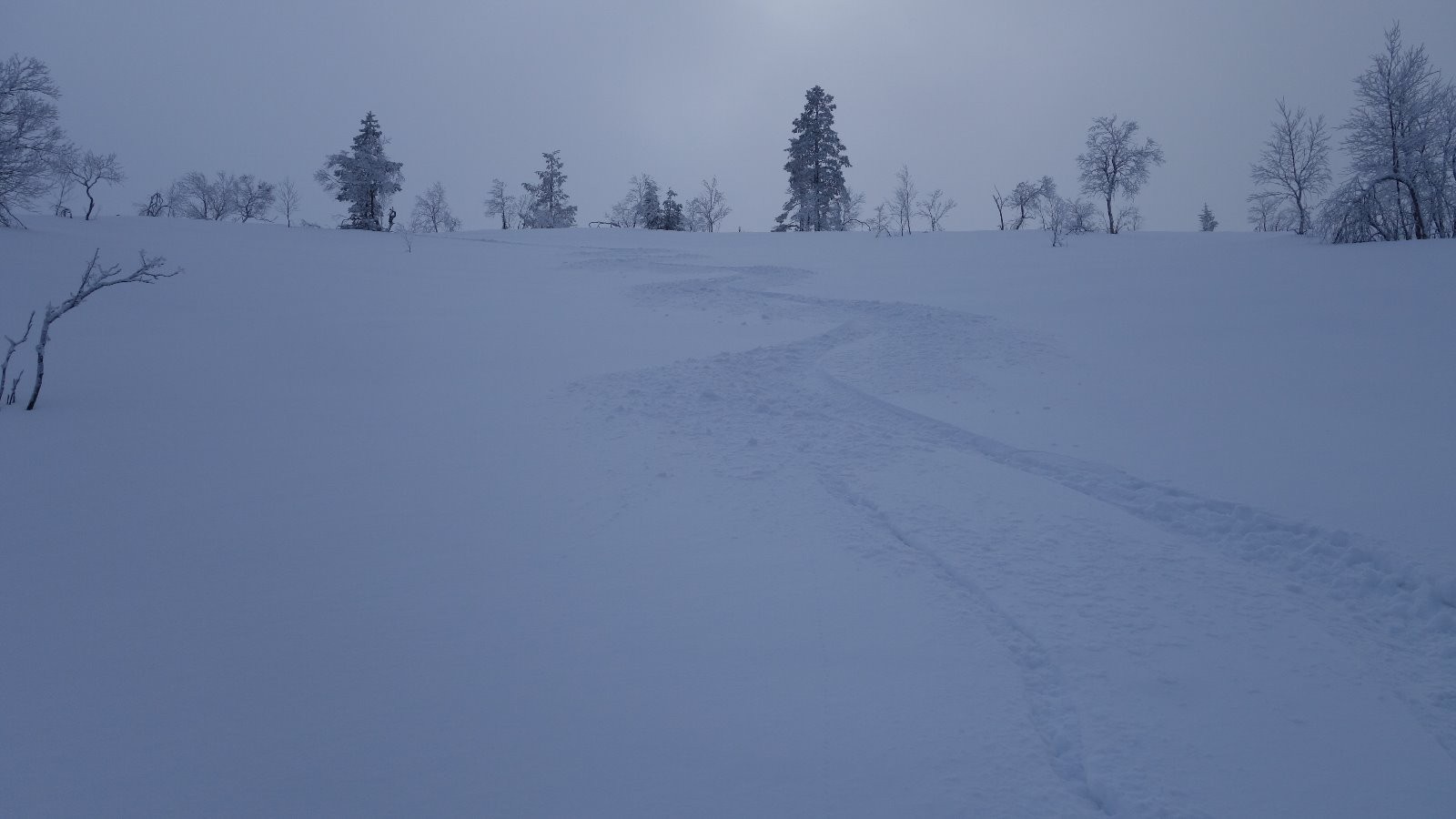 #4 Neige excellente à la descente Neige excellente à la descente