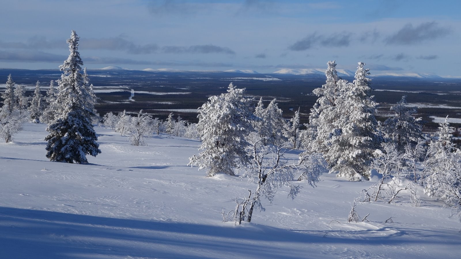#12 Les grandes étendues boisées de Finlande Les grandes étendues boisées de Finlande