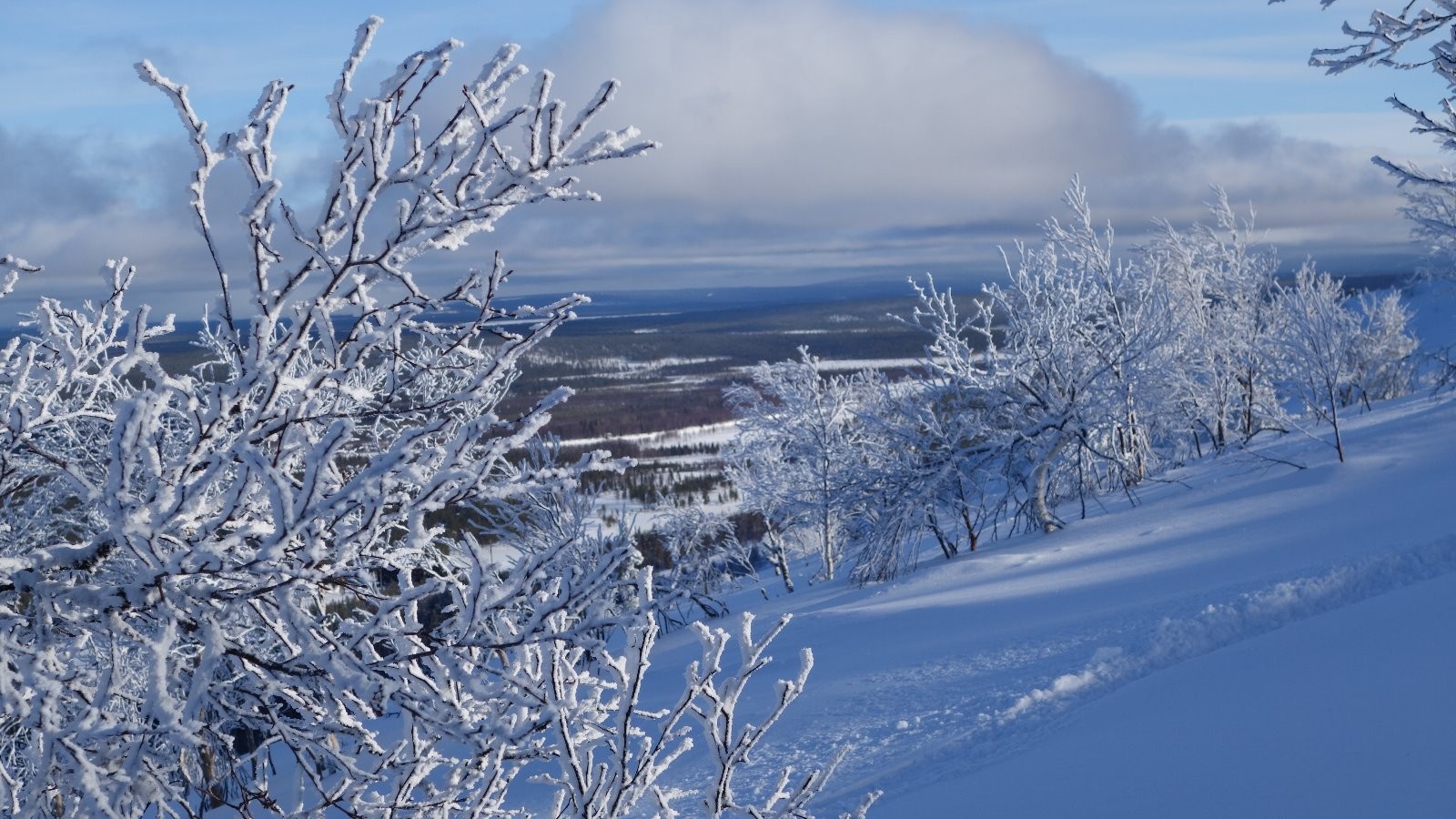#11 Paysage lapon Paysage lapon