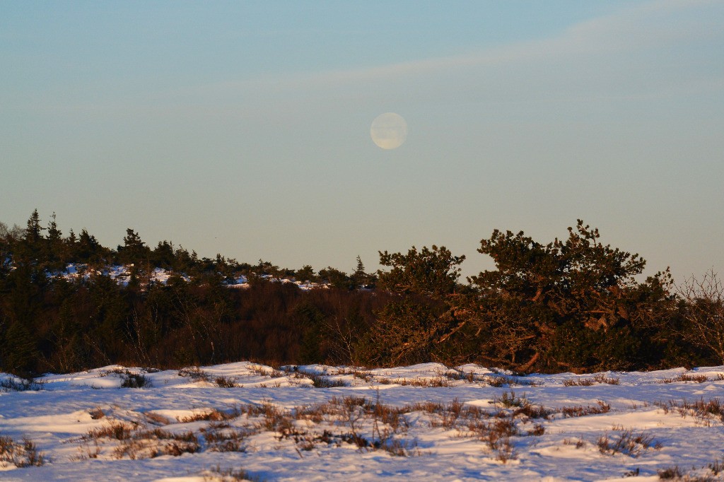 #10 Lever de soleil: et bientôt coucher de lune Lever de soleil: et bientôt coucher de lune