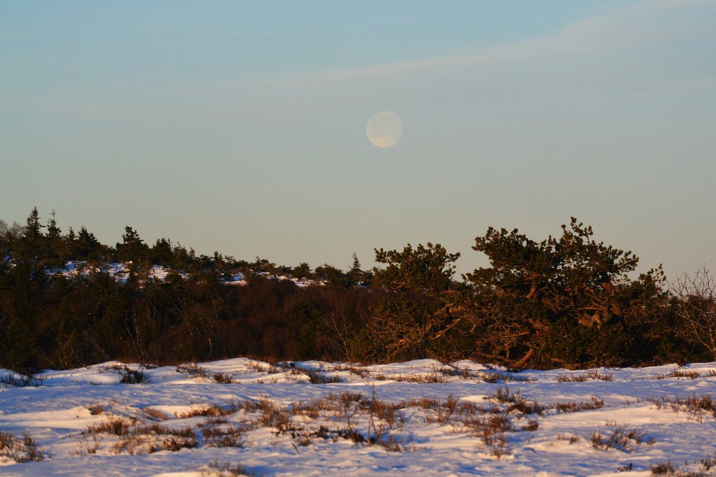 Lever de soleil: et bientôt coucher de lune