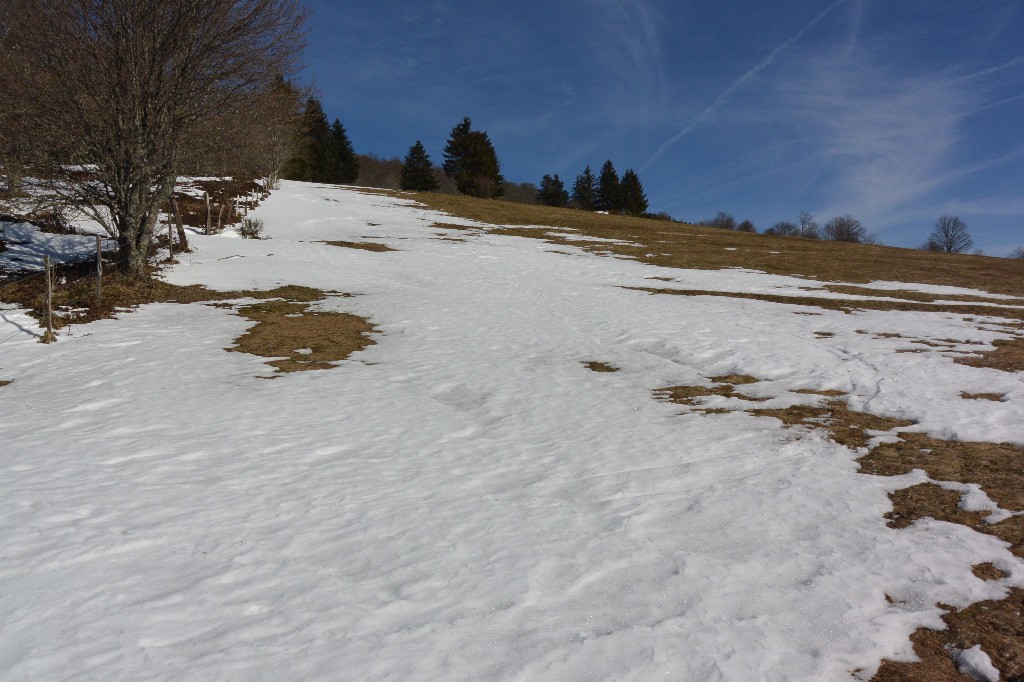 #15 Chaumienne (bis)
une fine langue de neige permet encore de descendre jusqu Chaumienne (bis)
une fine langue de neige permet encore de descendre jusqu'à la route
