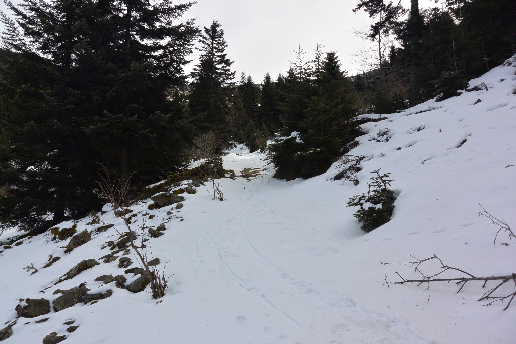 #20 Sous l Sous l'oeillon: point bas du parcours du jour, à peu près à la côte 1000m