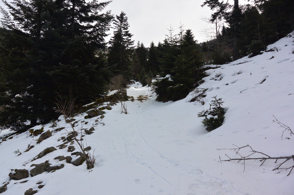 Sous l'oeillon: point bas du parcours du jour, à peu près à la côte 1000m