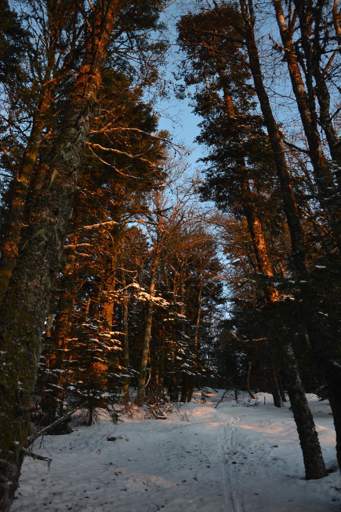 #7 Lever de soleil haut combe SSE: mince il me manquait 10 min pour être remonté sur la crête! Lever de soleil haut combe SSE: mince il me manquait 10 min pour être remonté sur la crête!