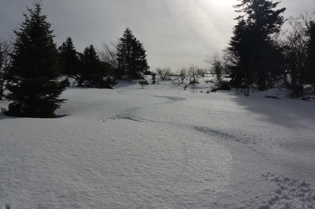 Creux de Botte: quelques bons passages