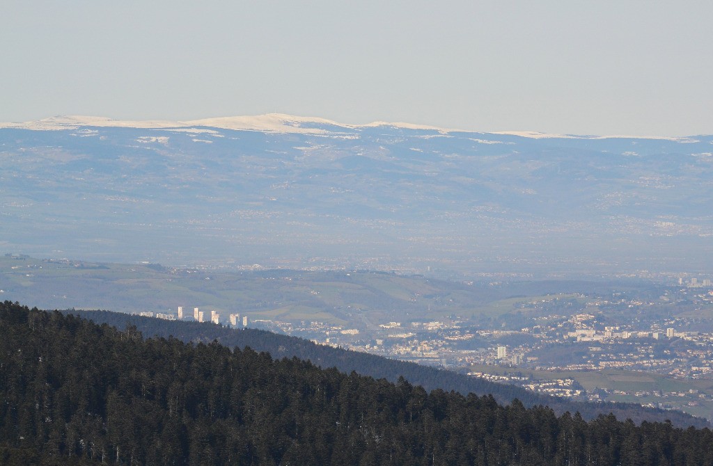 Des monts du forez... à St Etienne?