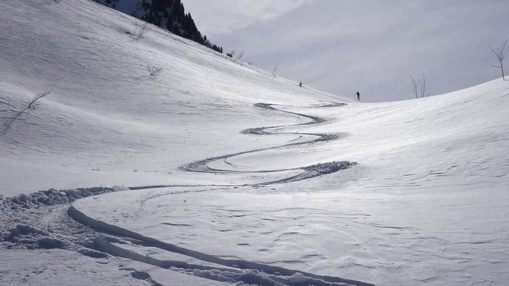 poudre, le meilleur ski du jour !
