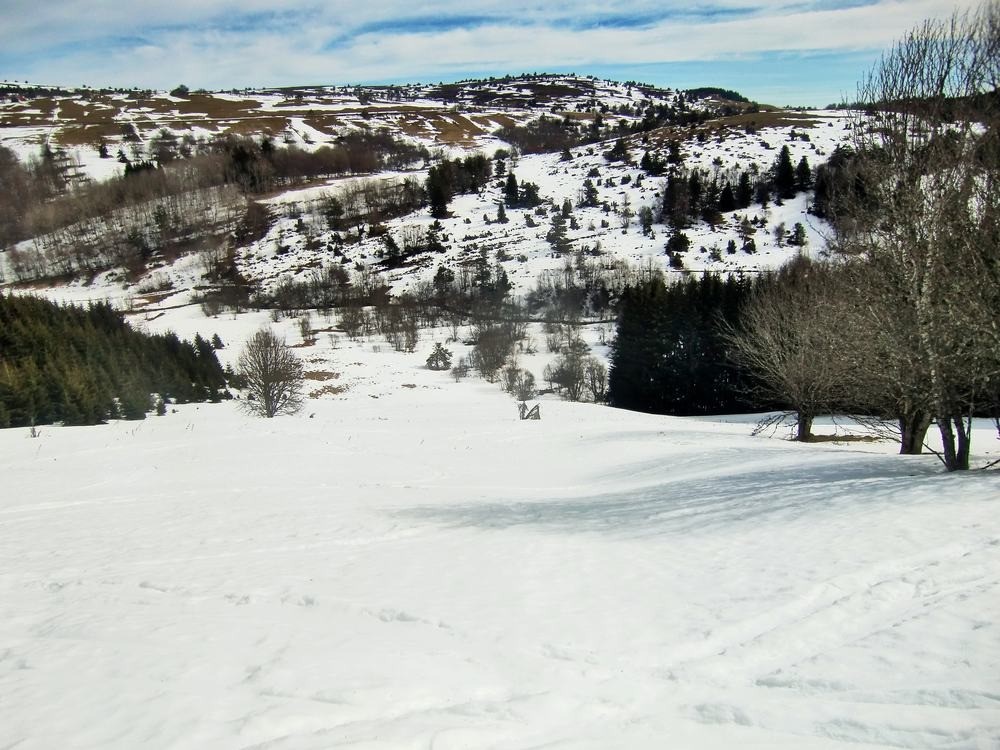 #8 Ancienne piste! Ancienne piste!