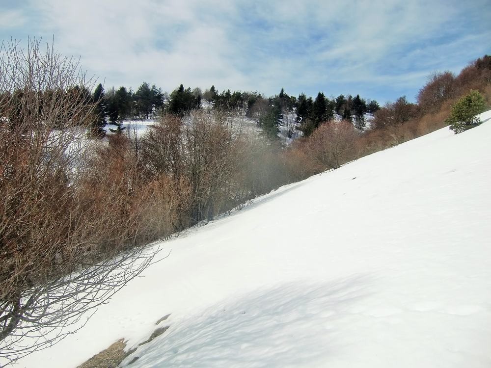 #5 Talweg entre les 2 montagnes : Un peu de pente Talweg entre les 2 montagnes : Un peu de pente