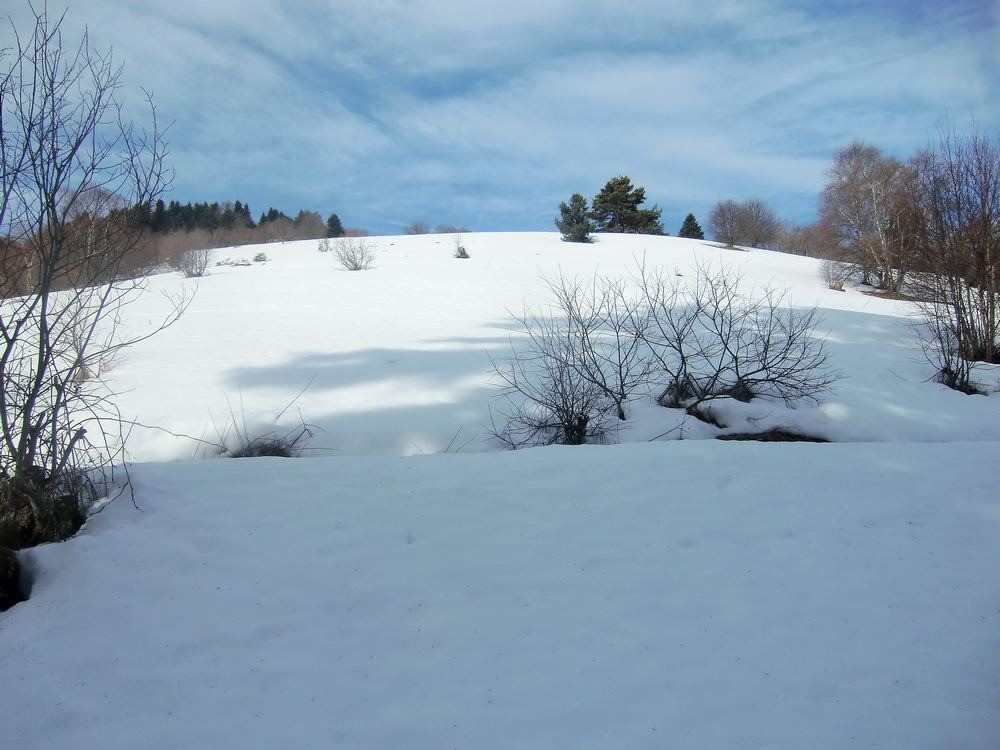 #4 enneigement continu sur les Jassoux! enneigement continu sur les Jassoux!