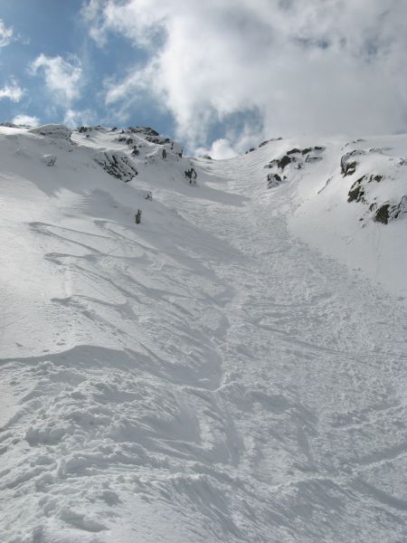 #7 Après le troupeau : Il est beaucoup moins beau maintenant Après le troupeau : Il est beaucoup moins beau maintenant