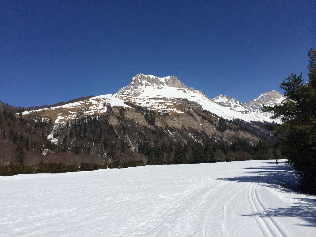 La tête de Lauzon, vue depuis les pistes de ski de fond