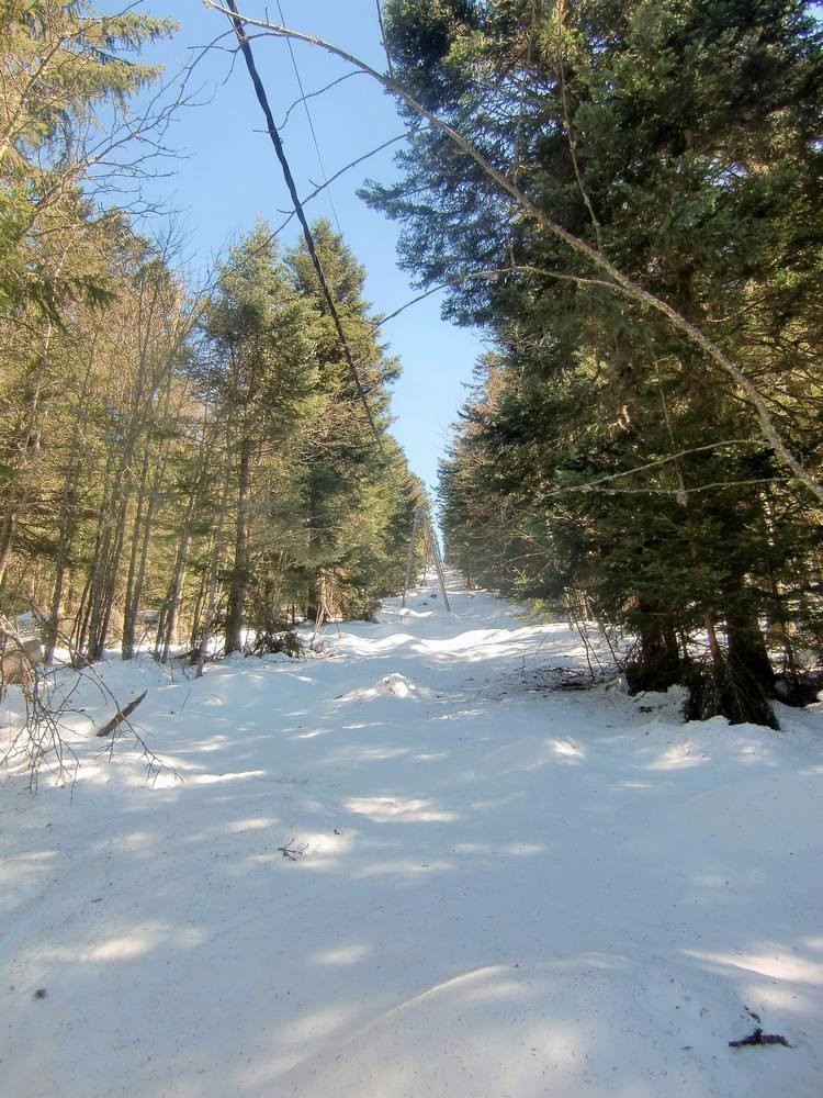 #4 bon enneigement sous la ligne, j bon enneigement sous la ligne, j'aurai pas parié! et en neige de printemps!