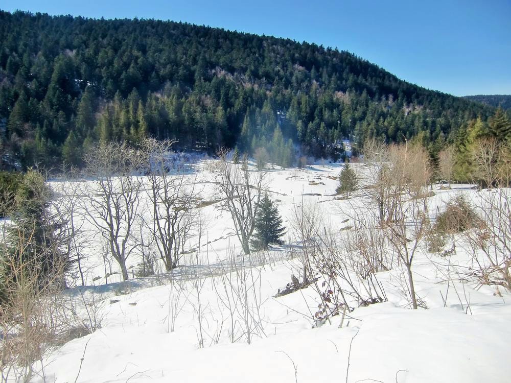 #3 La vallée sauvage qui contraste avec Chalmazel. La vallée sauvage qui contraste avec Chalmazel.