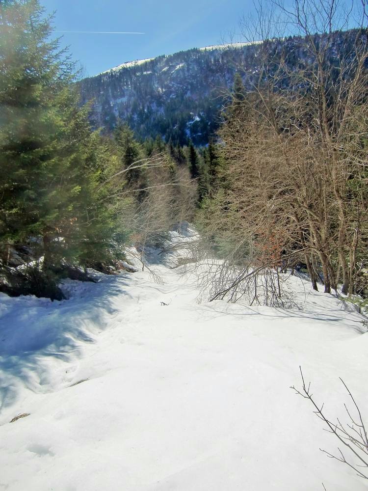 #2 piste de la richarde: ski bucheron ça se complique piste de la richarde: ski bucheron ça se complique