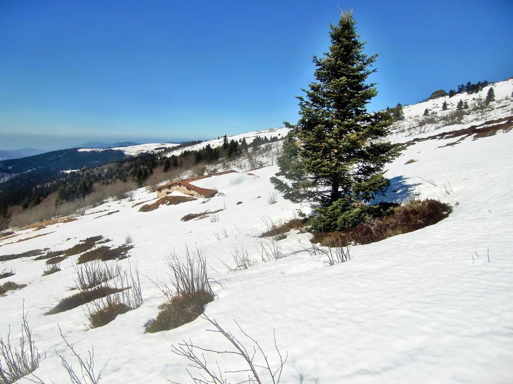 #5 reclavet 1480m
reclavet 1480m