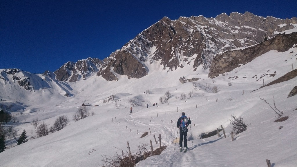 #23 Haut de foiroux Haut de foiroux