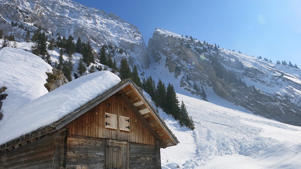 #13 Le coillu vu de Bionière Le coillu vu de Bionière
