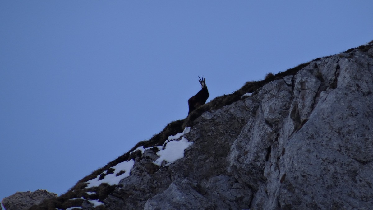 #1 On est observés On est observés