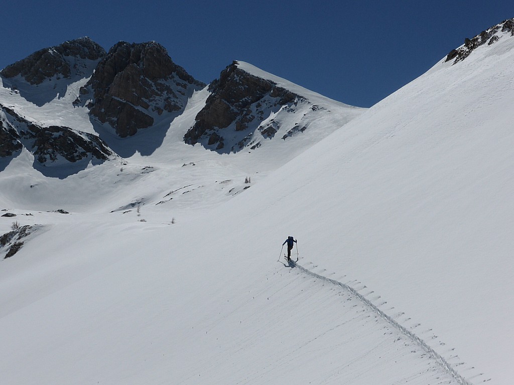 Direction Bocchino del Bianco