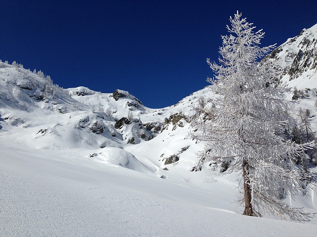 1800 m. passer à Gauche des barres