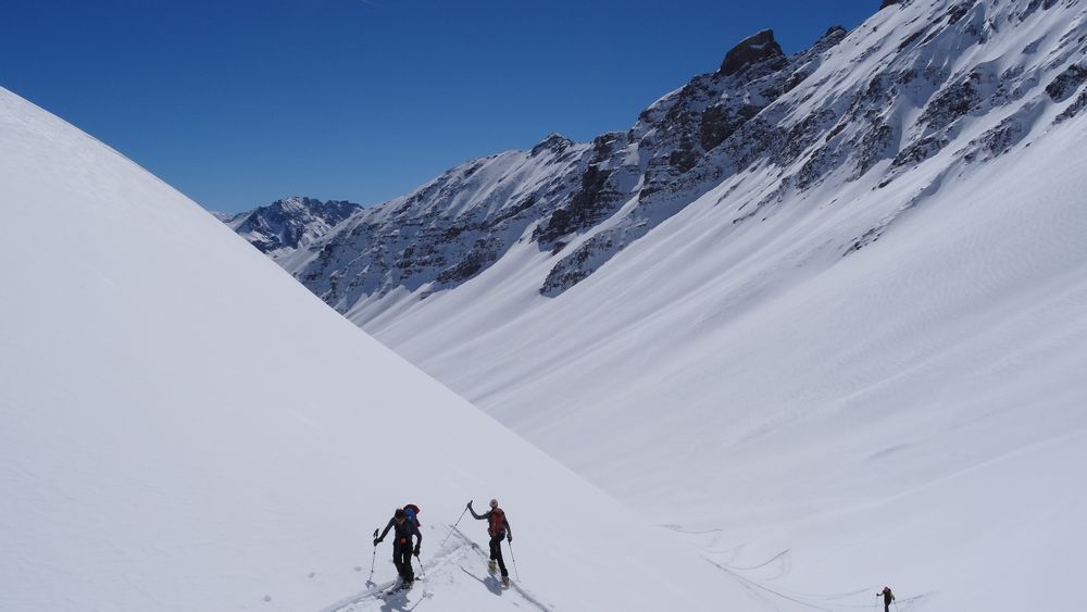 Immensités de champs vierges