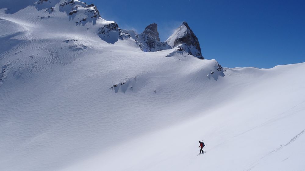 Oli devant les Aiguilles d'Arves