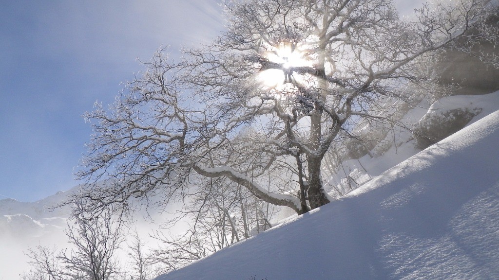 #2 Le ciel est avec nous... Le ciel est avec nous...