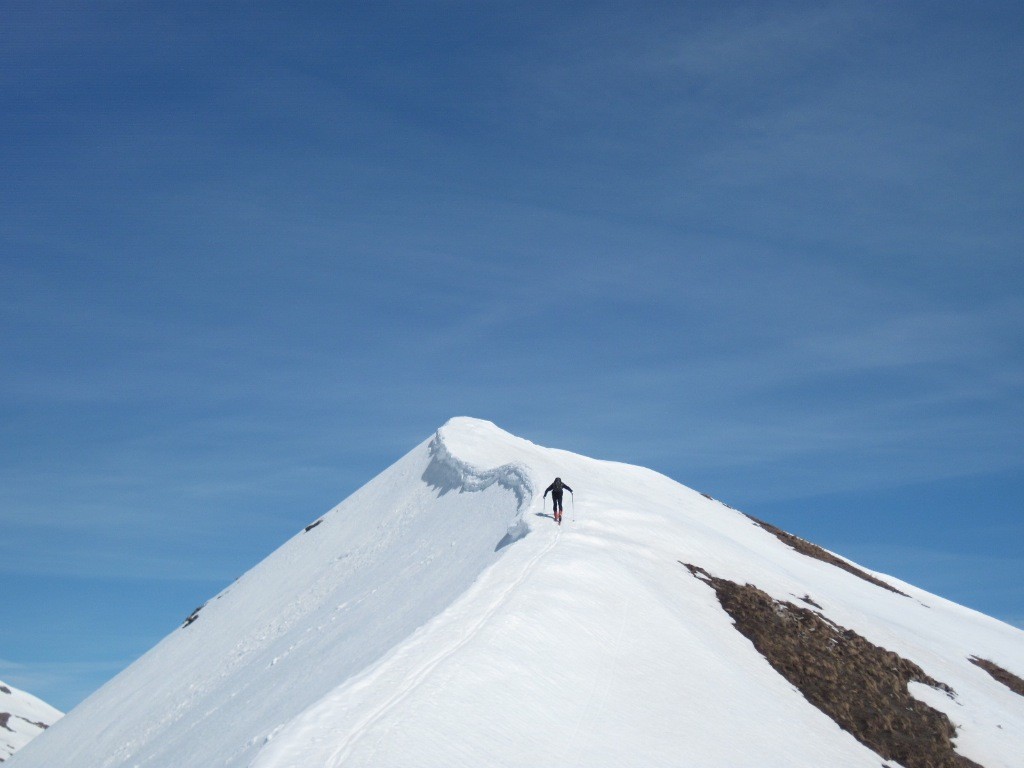 #5 tête de l tête de l'alpe