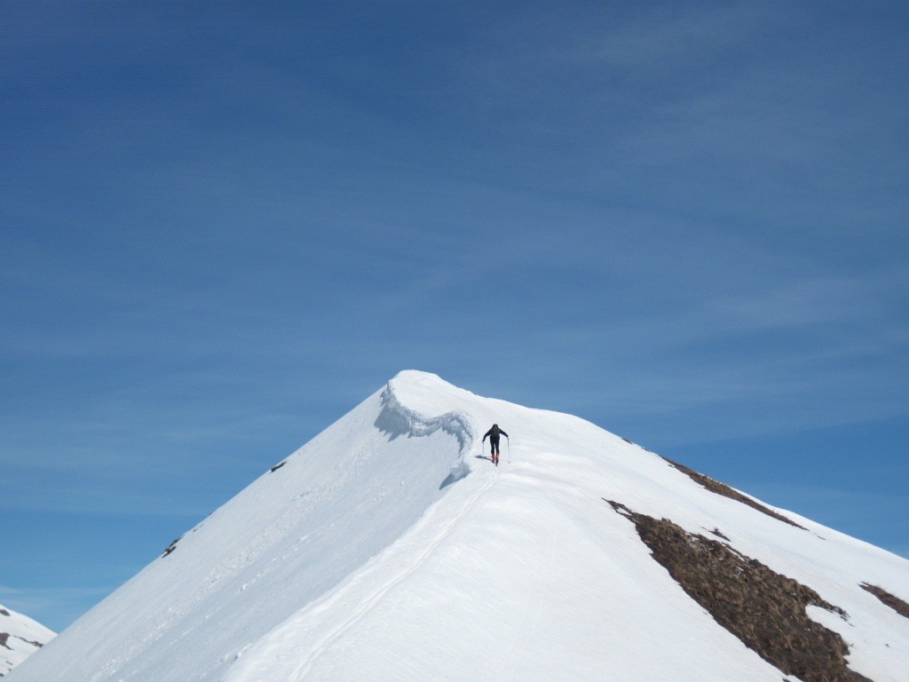 tête de l'alpe