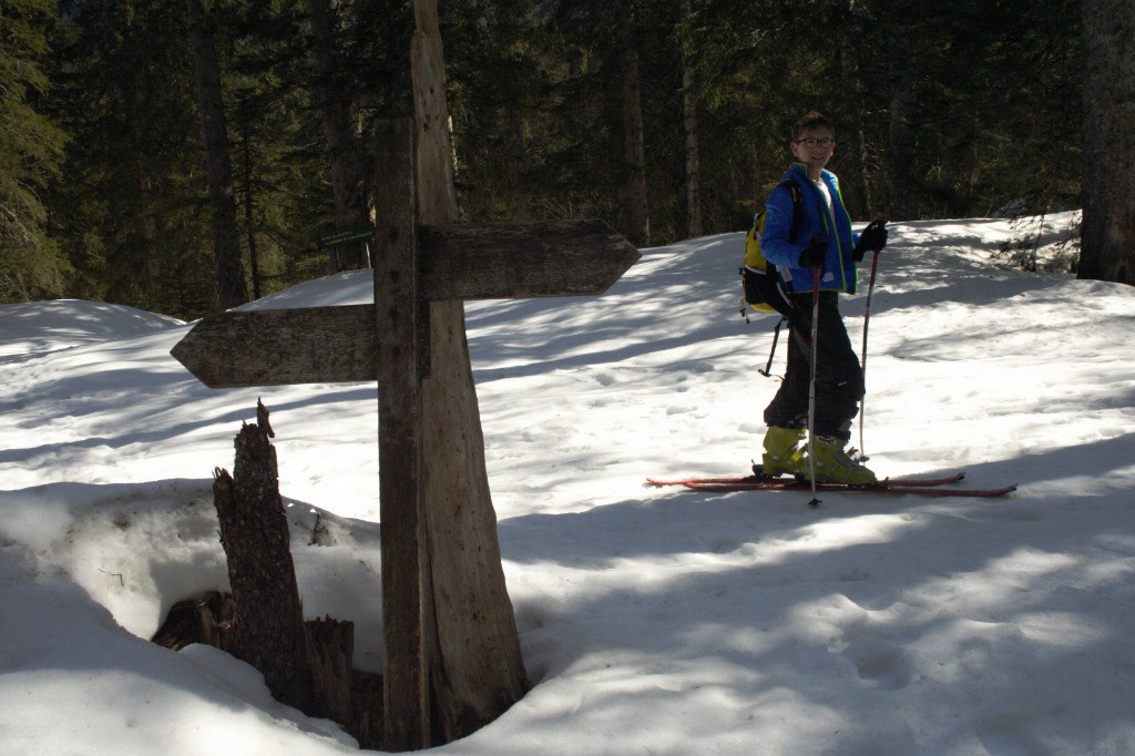 Dans la foret