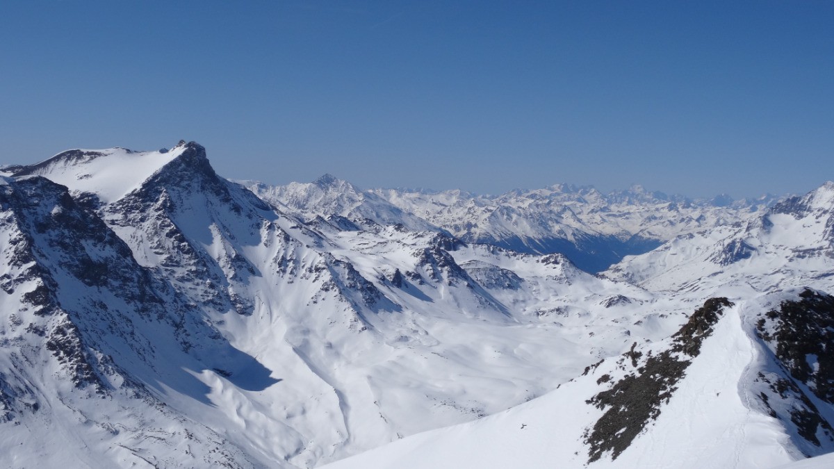 #14 Scolette est bien noire... Scolette est bien noire...