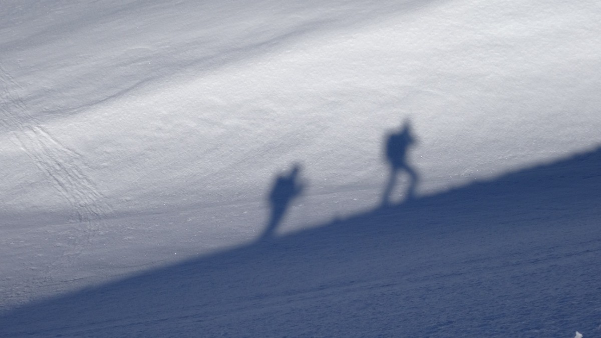 #10 Qui est qui ? Qui est qui ?