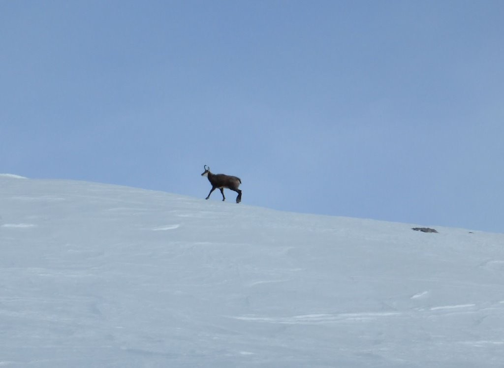 #32 Un habitant des lieux Un habitant des lieux