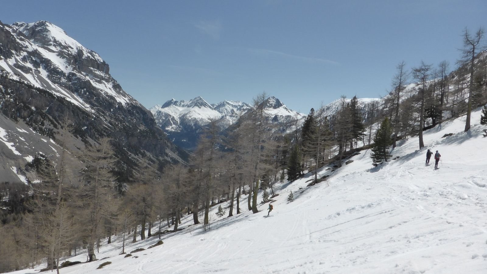 #22 Entrée dans les mélèzes Entrée dans les mélèzes