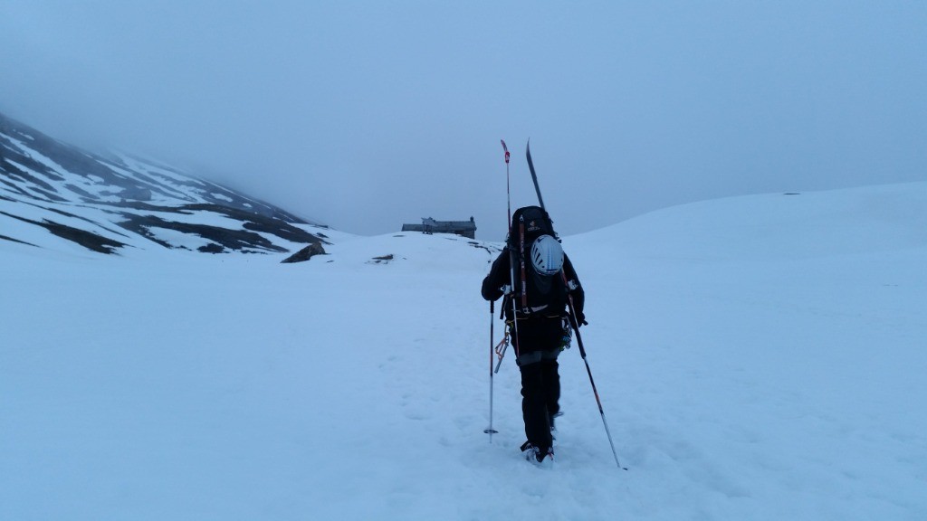 Vallonbrun en vue !