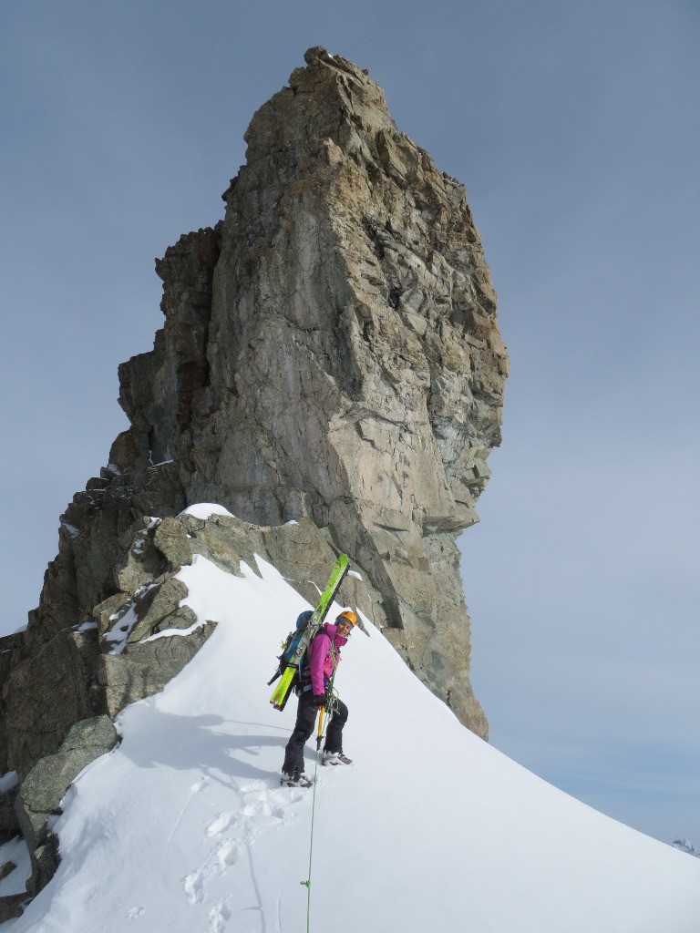 sortie du serret du savon