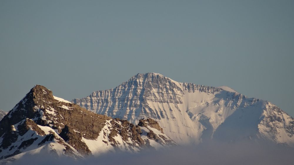 #4 Grosse plaque partie dans la face N centrale de la Grande Casse Grosse plaque partie dans la face N centrale de la Grande Casse