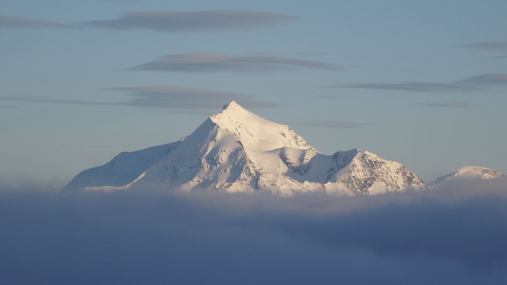 #3 Le Pourri flotte Le Pourri flotte