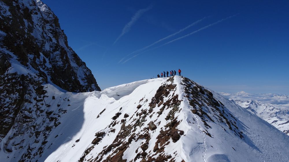 #15 Pas encore la grande foule au Dôme mais ça arrive ! Pas encore la grande foule au Dôme mais ça arrive !