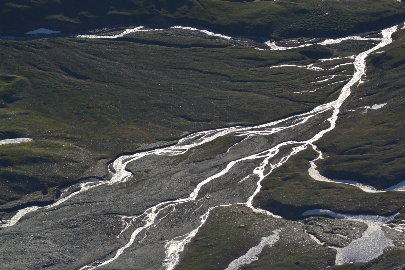 #8 Contrastes printaniers Contrastes printaniers